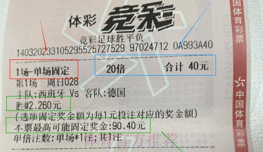 世界杯体育彩票投注技巧全攻略